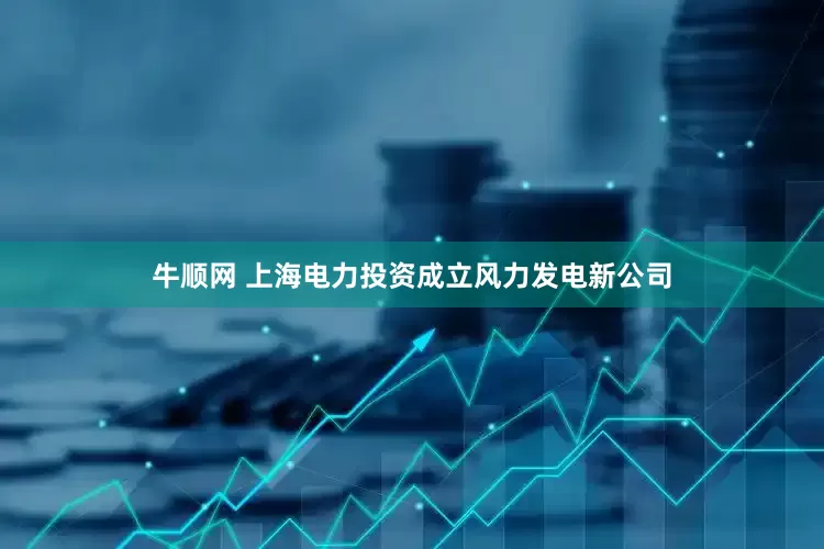 牛顺网 上海电力投资成立风力发电新公司