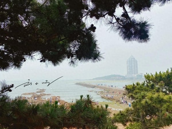 长富资本 山东“第一城”青岛：既是海滨旅游胜地，GDP更超省会济南？