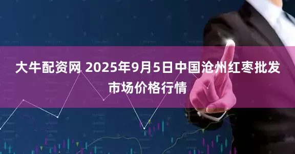 大牛配资网 2025年9月5日中国沧州红枣批发市场价格行情