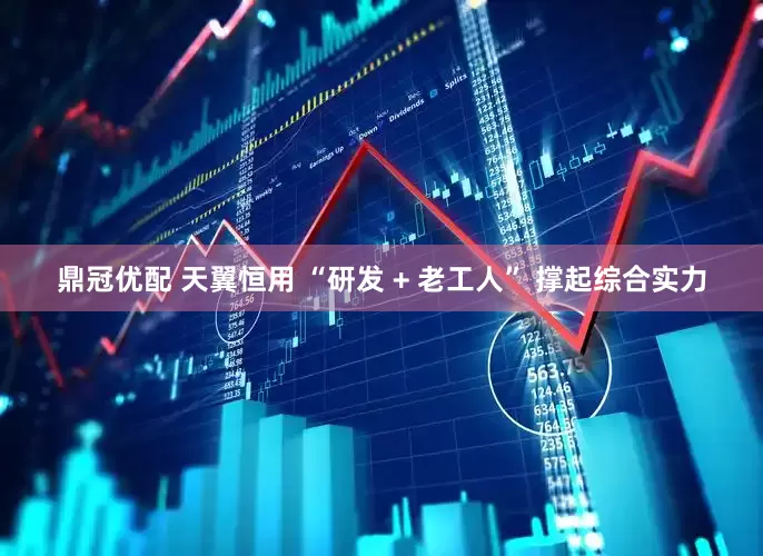 鼎冠优配 天翼恒用 “研发 + 老工人” 撑起综合实力